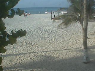 Playa del carmen webcam