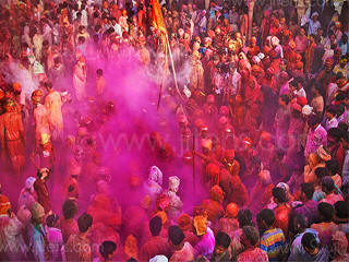 Holi Festival Live Streaming India Spring Festival of Colours